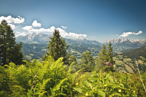 Traumhaftes Wandergebiet mit Panoramablick über das Salzachtal